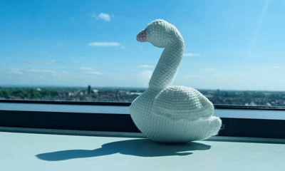 The SWAN motif. The SWAN motif.
