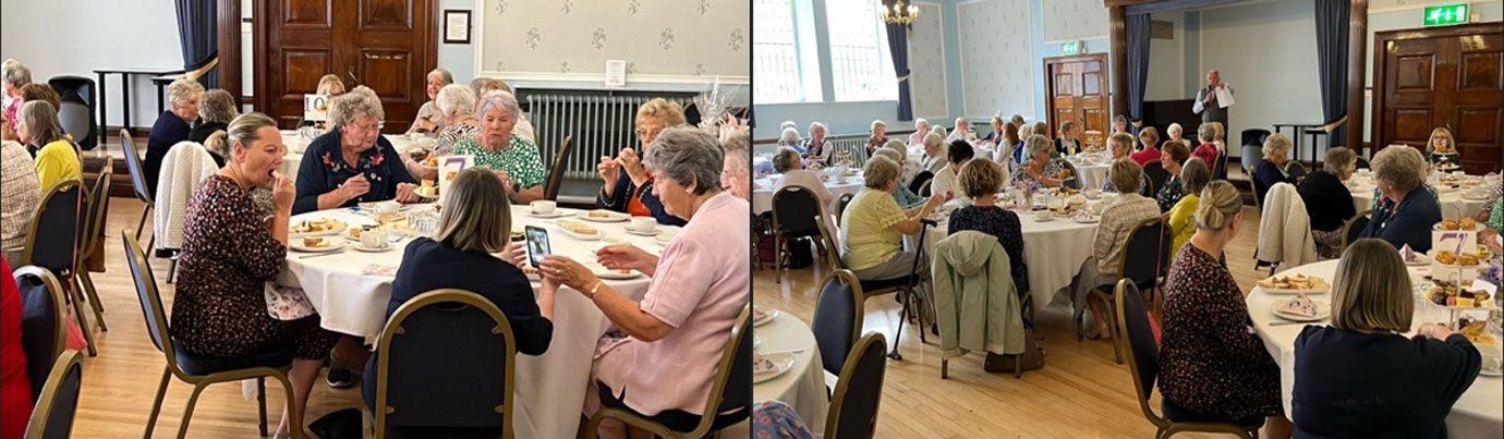 Widows enjoying the afternoon. Widows enjoying the afternoon.