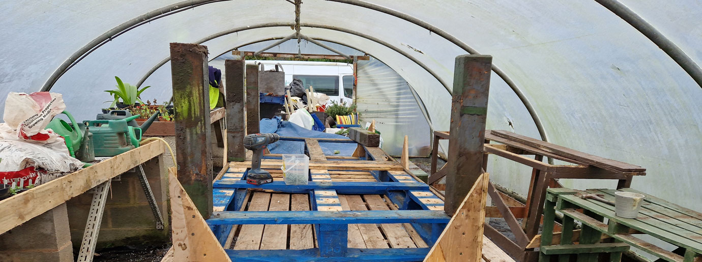 The polytunnel.